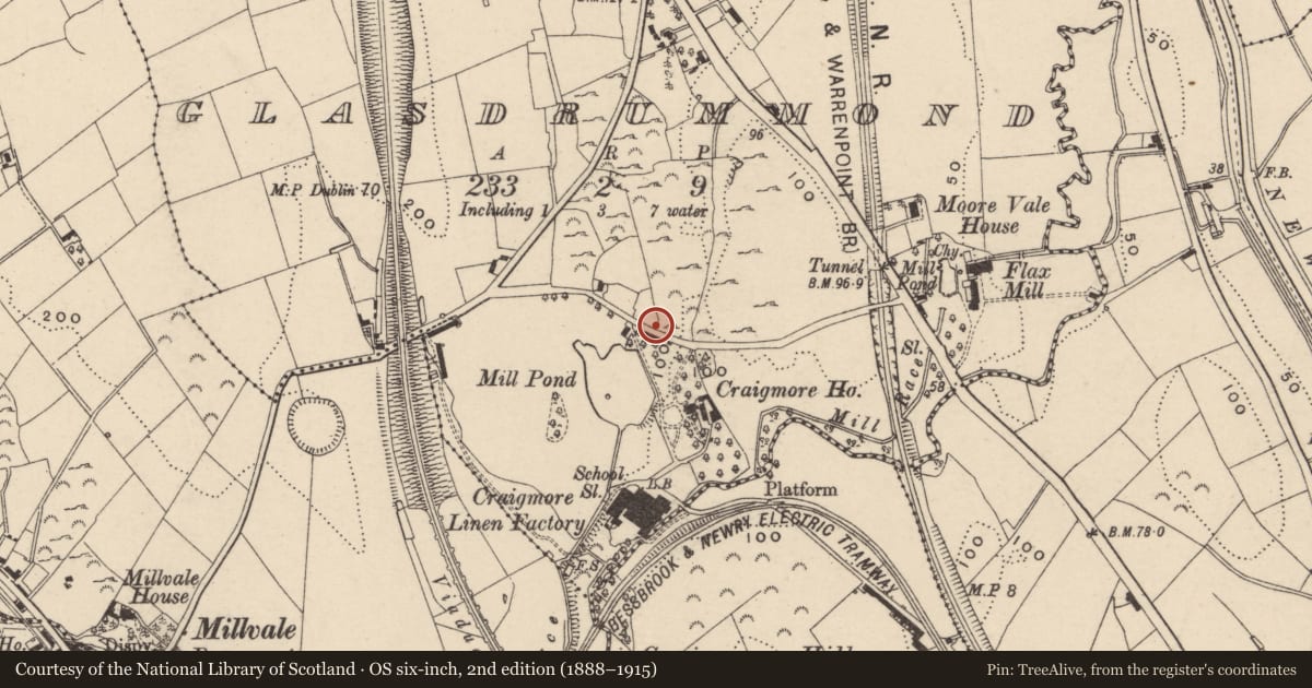 Ordnance Survey six-inch map, 2nd edition (1888–1915) covering the location of Craigmore Road, Newry, Mourne and Down, with a pin at the register's coordinates