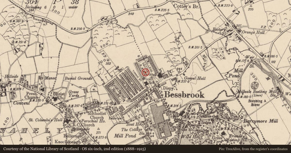 Ordnance Survey six-inch map, 2nd edition (1888–1915) covering the location of Pavilion College Square, Newry, Mourne and Down, with a pin at the register's coordinates