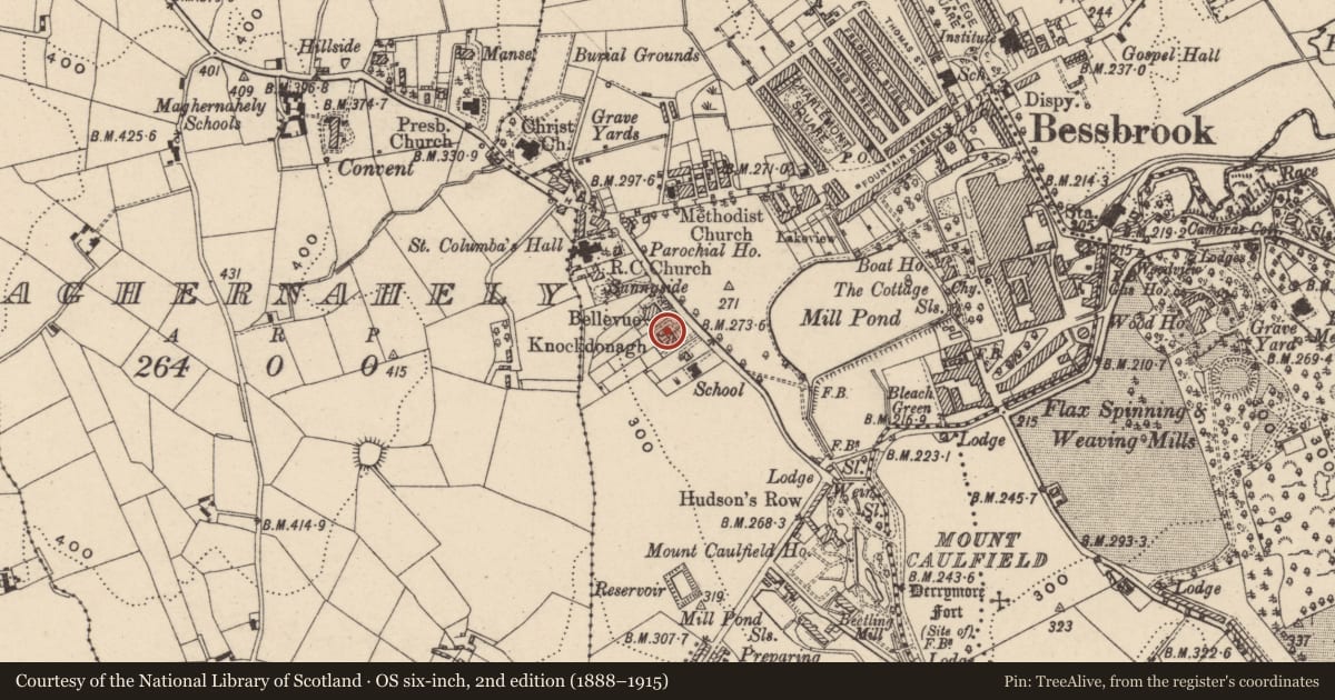 Ordnance Survey six-inch map, 2nd edition (1888–1915) covering the location of Dromene and Knockdonagh, Newry, Mourne and Down, with a pin at the register's coordinates