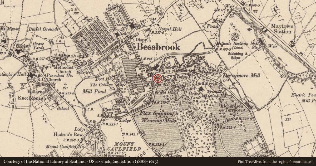 Ordnance Survey six-inch map, 2nd edition (1888–1915) covering the location of WOODVIEW, Newry, Mourne and Down, with a pin at the register's coordinates