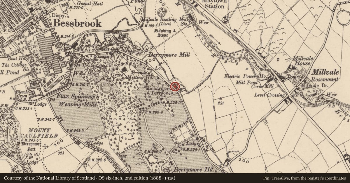 Ordnance Survey six-inch map, 2nd edition (1888–1915) covering the location of 3 DERAMORE (DERRYMORE) TERRACE, Newry, Mourne and Down, with a pin at the register's coordinates