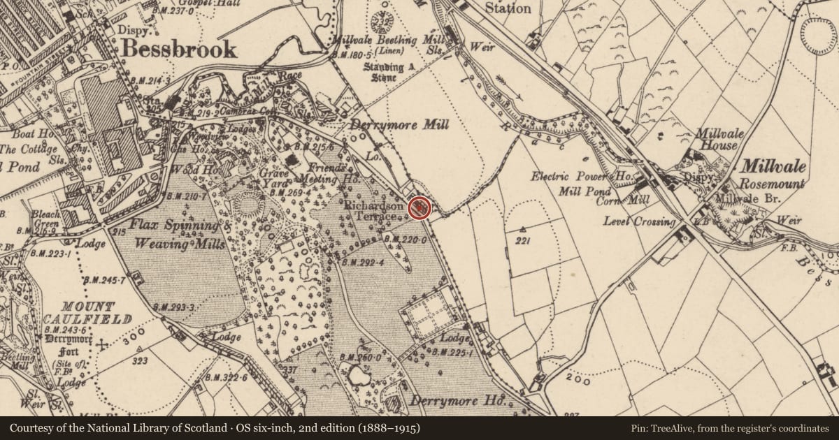 Ordnance Survey six-inch map, 2nd edition (1888–1915) covering the location of 7 DERAMORE (DERRYMORE) TERRACE, Newry, Mourne and Down, with a pin at the register's coordinates