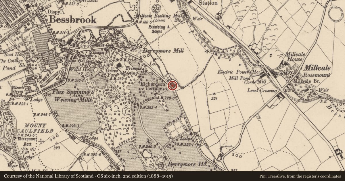 Ordnance Survey six-inch map, 2nd edition (1888–1915) covering the location of 8 DERAMORE (DERRYMORE) TERRACE, Newry, Mourne and Down, with a pin at the register's coordinates