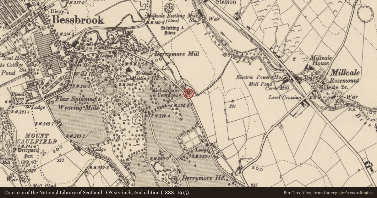 Ordnance Survey six-inch map, 2nd edition (1888–1915) covering the location of 10 DERAMORE (DERRYMORE) TERRACE, Newry, Mourne and Down, with a pin at the register's coordinates