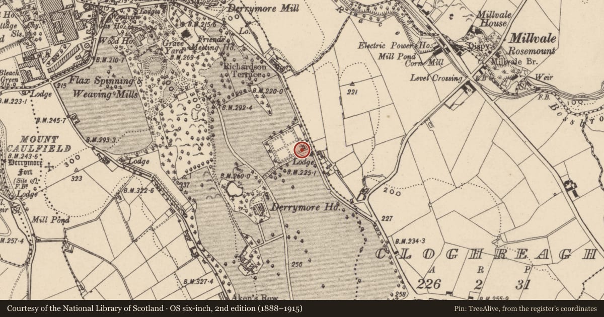 Ordnance Survey six-inch map, 2nd edition (1888–1915) covering the location of Derrymore Hortus Lodge, Newry, Mourne and Down, with a pin at the register's coordinates