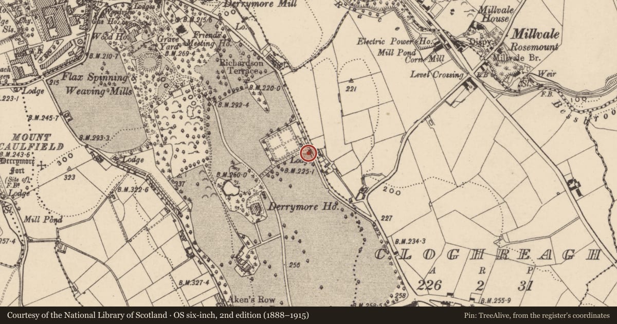Ordnance Survey six-inch map, 2nd edition (1888–1915) covering the location of Rose Cottage, Derrymore, Newry, Mourne and Down, with a pin at the register's coordinates