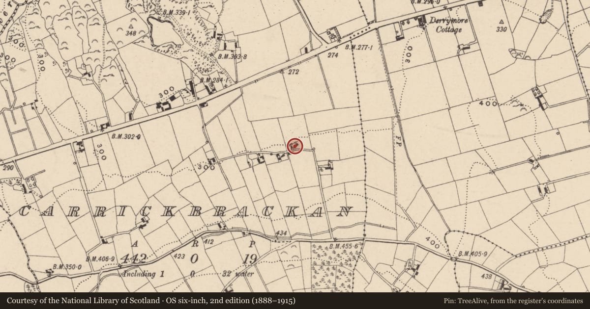 Ordnance Survey six-inch map, 2nd edition (1888–1915) covering the location of House A, Newry, Mourne and Down, with a pin at the register's coordinates