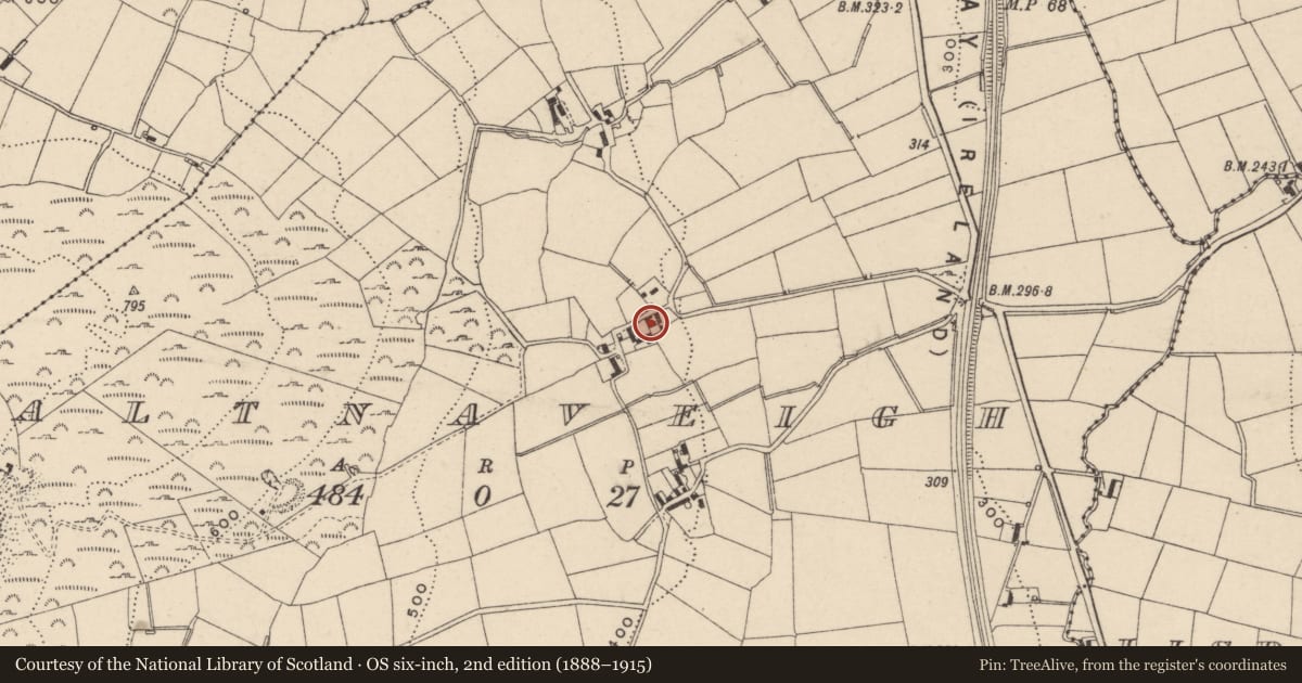 Ordnance Survey six-inch map, 2nd edition (1888–1915) covering the location of House 1, Newry, Mourne and Down, with a pin at the register's coordinates