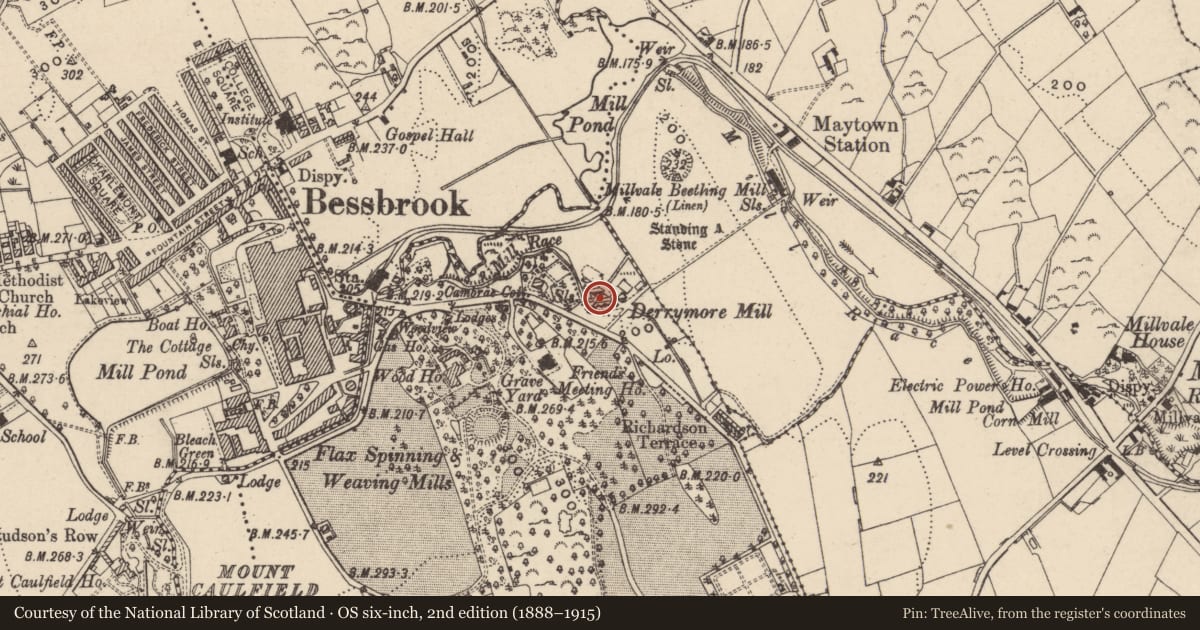 Ordnance Survey six-inch map, 2nd edition (1888–1915) covering the location of Derrymore foundry, Newry, Mourne and Down, with a pin at the register's coordinates