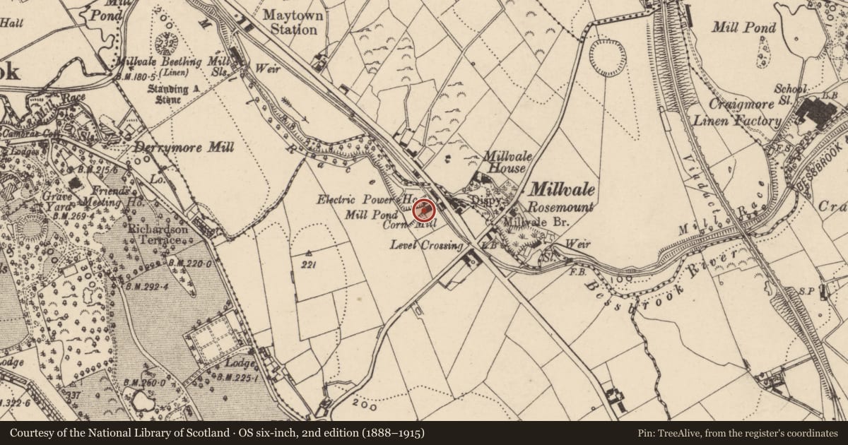 Ordnance Survey six-inch map, 2nd edition (1888–1915) covering the location of Millvale Road, Cloghreagh, Newry, Mourne and Down, with a pin at the register's coordinates