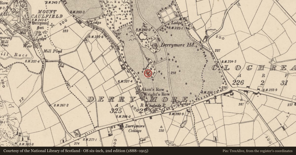 Ordnance Survey six-inch map, 2nd edition (1888–1915) covering the location of Farm buildings at Derrymore House Derrymore Co. Armagh BT35 7EF, Derry More, Newry, Mourne and Down, with a pin at the register's coordinates