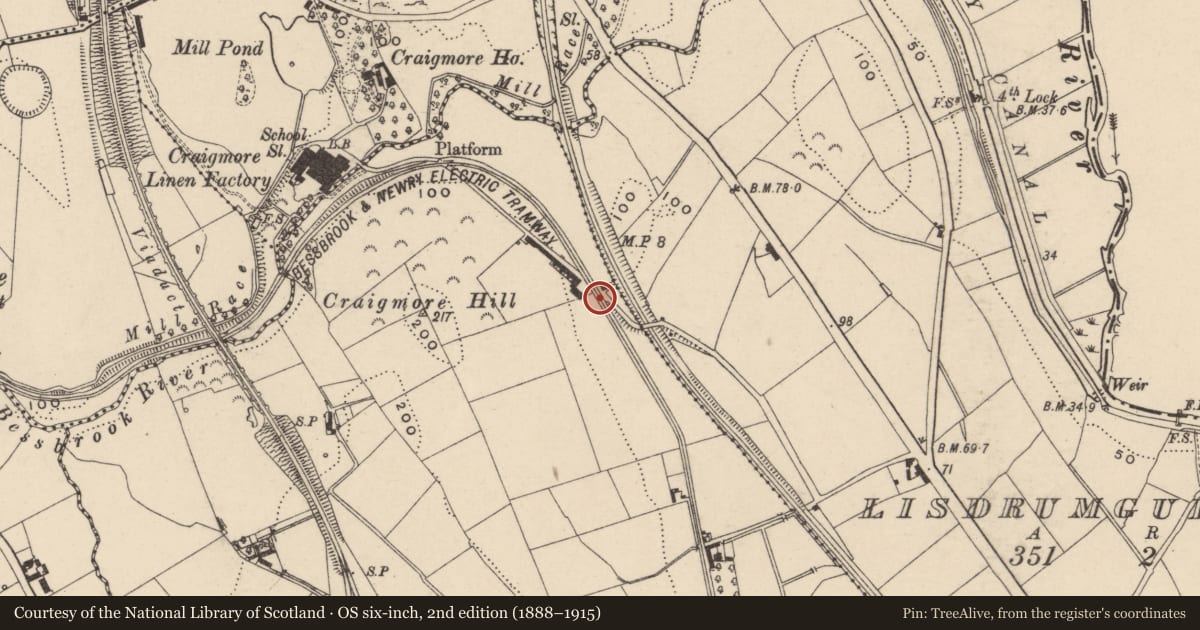 Ordnance Survey six-inch map, 2nd edition (1888–1915) covering the location of Dwelling, Derrybeg, Newry, Mourne and Down, with a pin at the register's coordinates