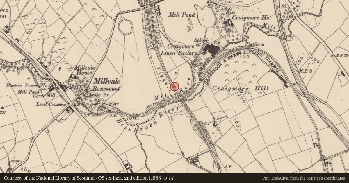Ordnance Survey six-inch map, 2nd edition (1888–1915) covering the location of Craigmore Viaduct, Mullaghglass, Newry, Mourne and Down, with a pin at the register's coordinates