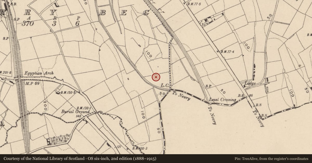 Ordnance Survey six-inch map, 2nd edition (1888–1915) covering the location of St. Brigid’s RC Church, Derrybeg, Newry, Mourne and Down, with a pin at the register's coordinates