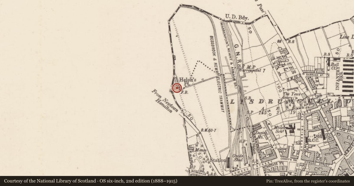 Ordnance Survey six-inch map, 2nd edition (1888–1915) covering the location of 1-7 Helen’s Terrace, Lisdrumgullion, Newry, Mourne and Down, with a pin at the register's coordinates