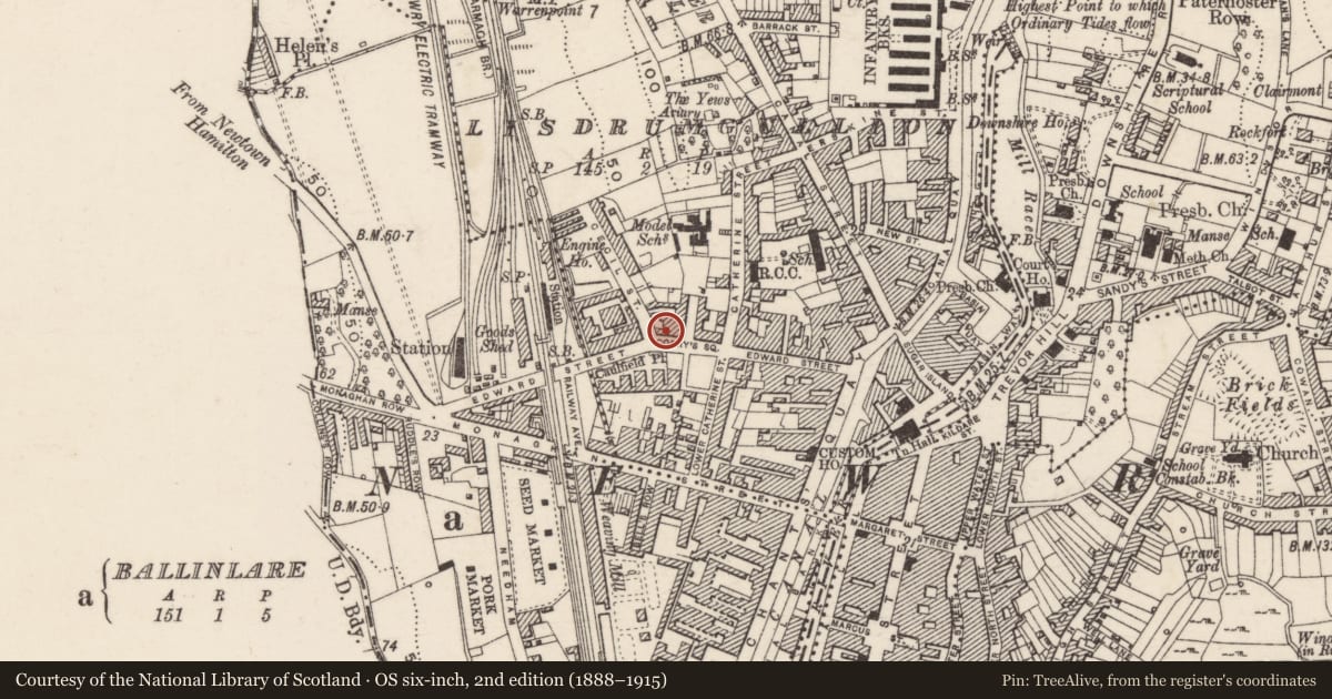Ordnance Survey six-inch map, 2nd edition (1888–1915) covering the location of 8 Corry’s Square, Lisdrumgullion, Newry, Mourne and Down, with a pin at the register's coordinates