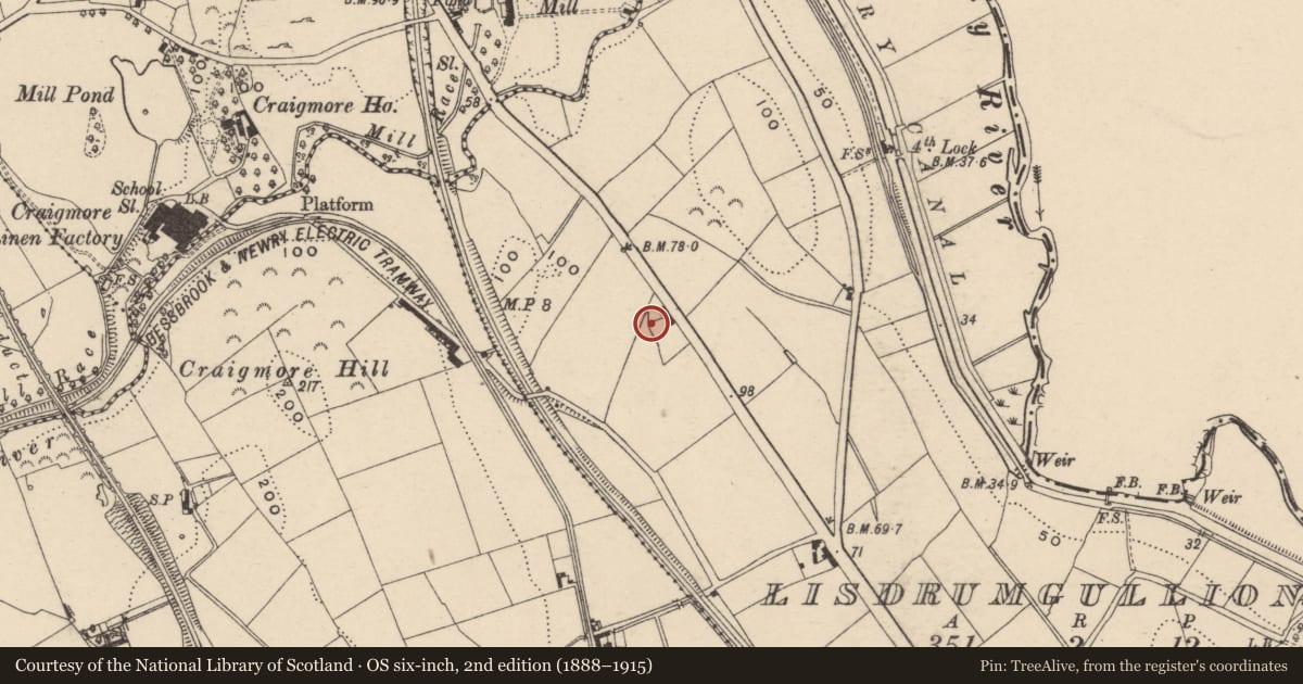 Ordnance Survey six-inch map, 2nd edition (1888–1915) covering the location of The Cottage, Lisdrumgullion, Newry, Mourne and Down, with a pin at the register's coordinates