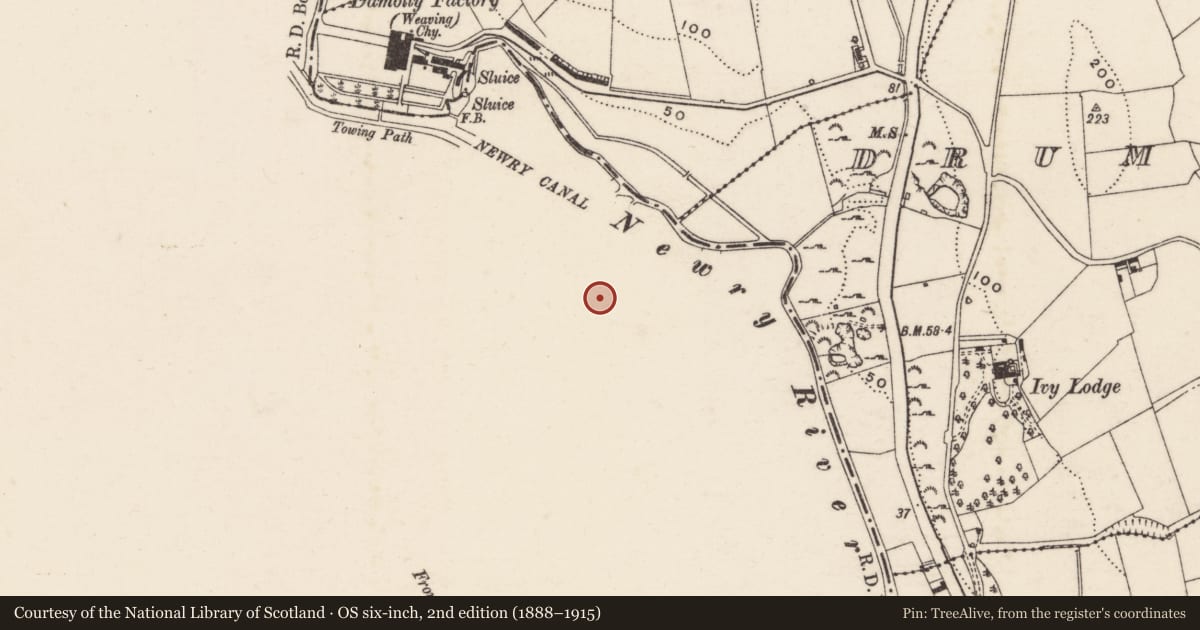 Ordnance Survey six-inch map, 2nd edition (1888–1915) covering the location of St Colman’s College, Lisdrumgullion, Newry, Mourne and Down, with a pin at the register's coordinates