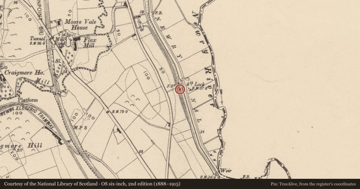 Ordnance Survey six-inch map, 2nd edition (1888–1915) covering the location of Lock no.4, Lisdrumgullion, Newry, Mourne and Down, with a pin at the register's coordinates