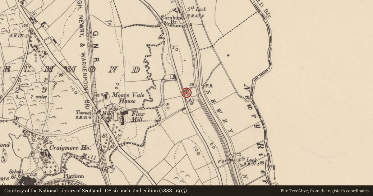 Ordnance Survey six-inch map, 2nd edition (1888–1915) covering the location of 19 Tandragee Road, Lisdrumgullion, Newry, Mourne and Down, with a pin at the register's coordinates