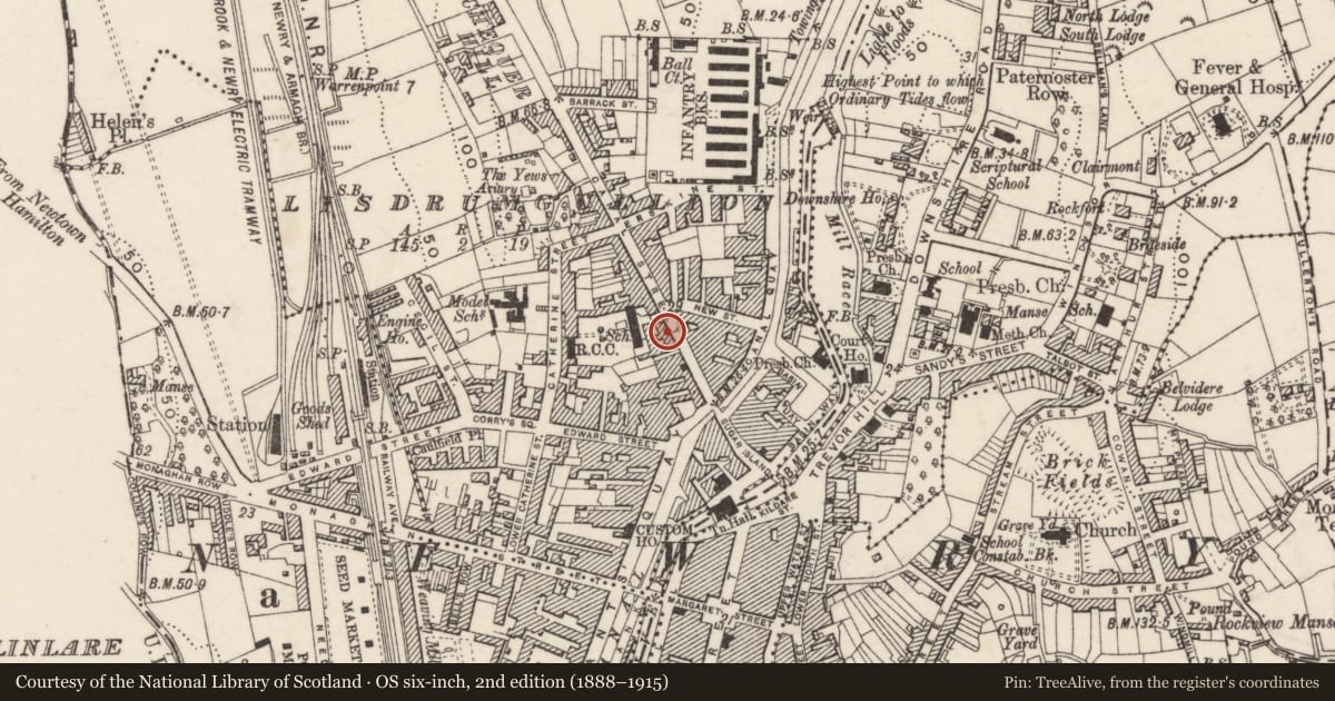 Ordnance Survey six-inch map, 2nd edition (1888–1915) covering the location of 20 Canal Street, Lisdrumgullion, Newry, Mourne and Down, with a pin at the register's coordinates