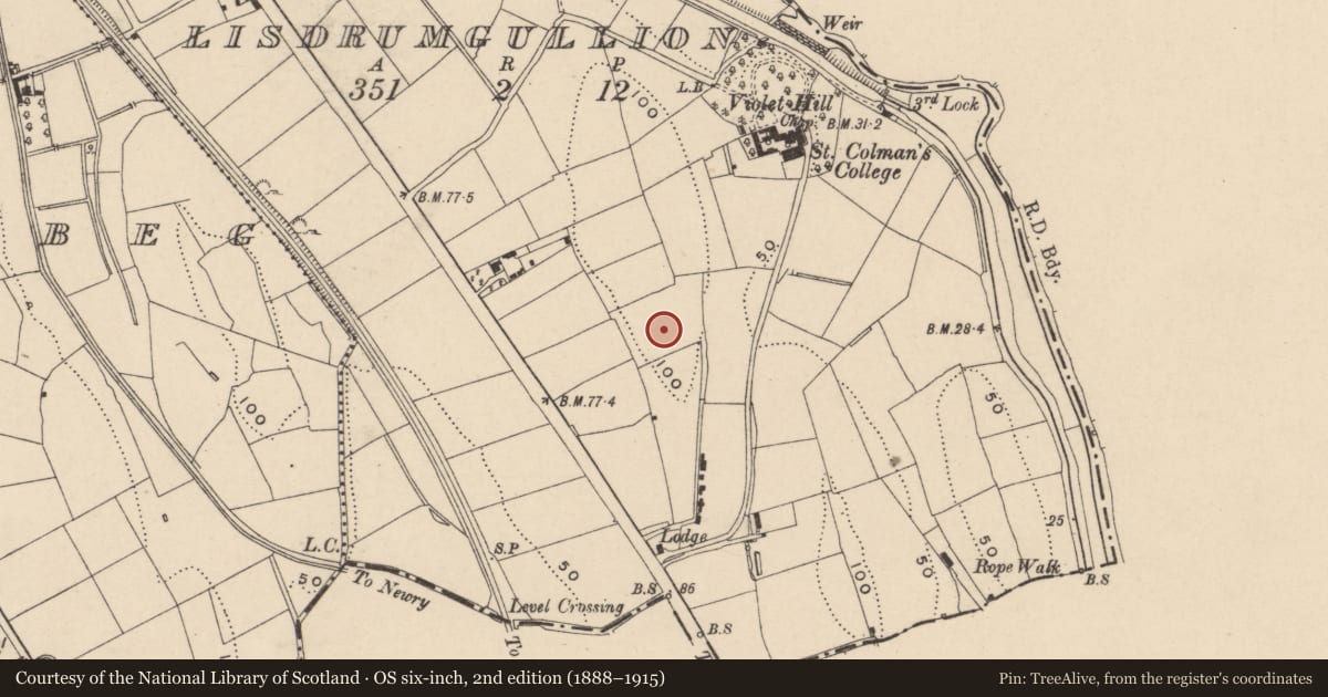 Ordnance Survey six-inch map, 2nd edition (1888–1915) covering the location of Bishop’s House, Lisdrumgullion, Newry, Mourne and Down, with a pin at the register's coordinates