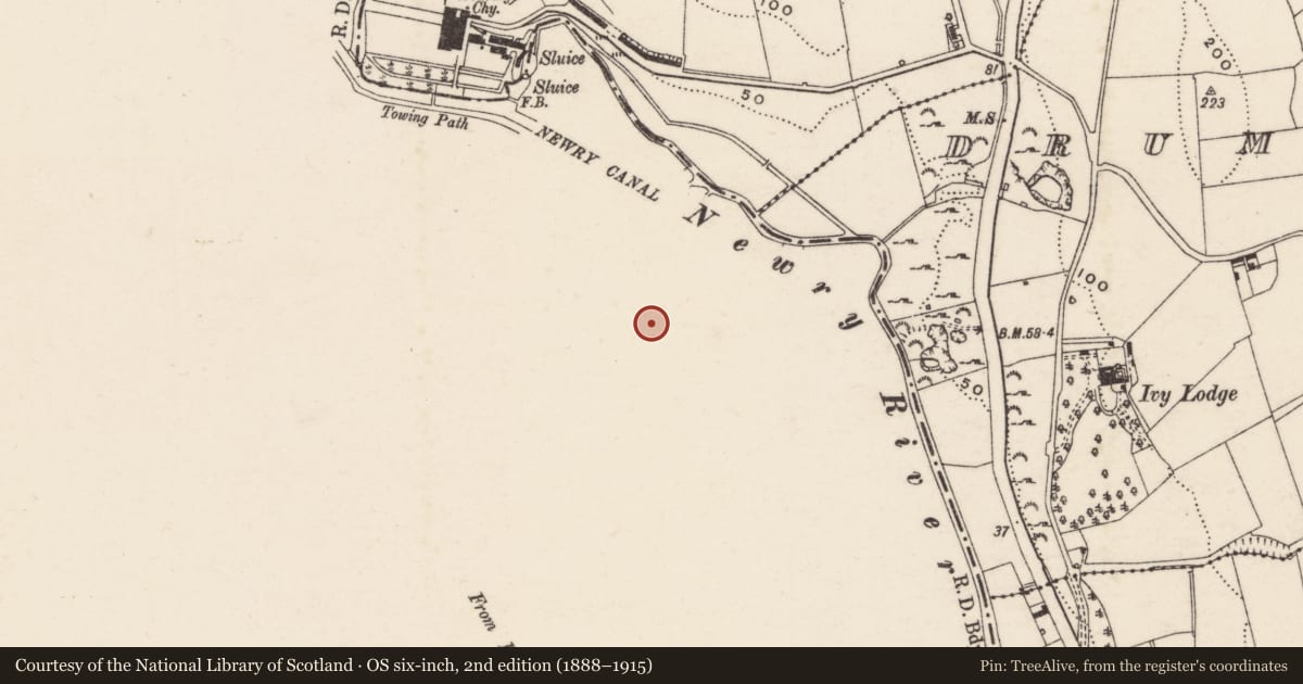 Ordnance Survey six-inch map, 2nd edition (1888–1915) covering the location of Chapel of St. Mary the Immaculate Mother of God, Lisdrumgullion, Newry, Mourne and Down, with a pin at the register's coordinates