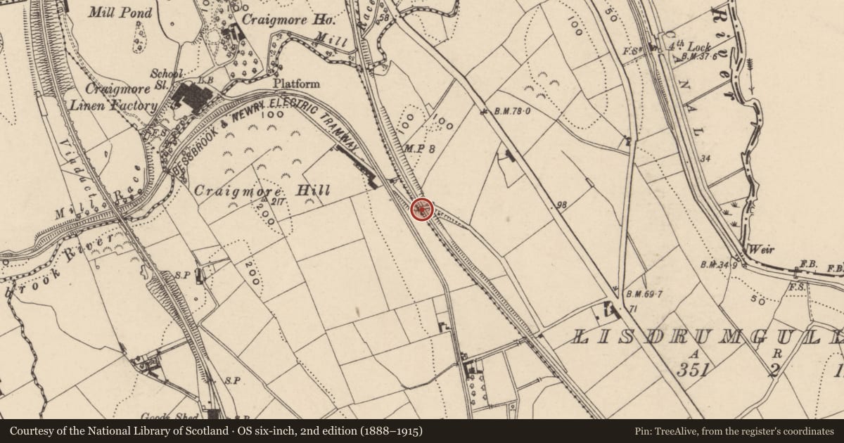 Ordnance Survey six-inch map, 2nd edition (1888–1915) covering the location of Road/Rail Bridge, Craigmore Road, Newry, Co Down, Newry, Mourne and Down, with a pin at the register's coordinates