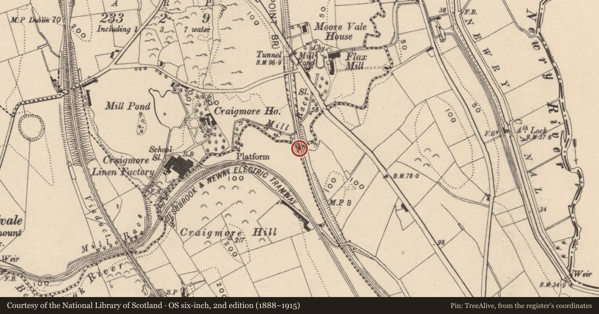 Ordnance Survey six-inch map, 2nd edition (1888–1915) covering the location of Bridge (Rail/River), Lisdrumgullion, Newry, Mourne and Down, with a pin at the register's coordinates