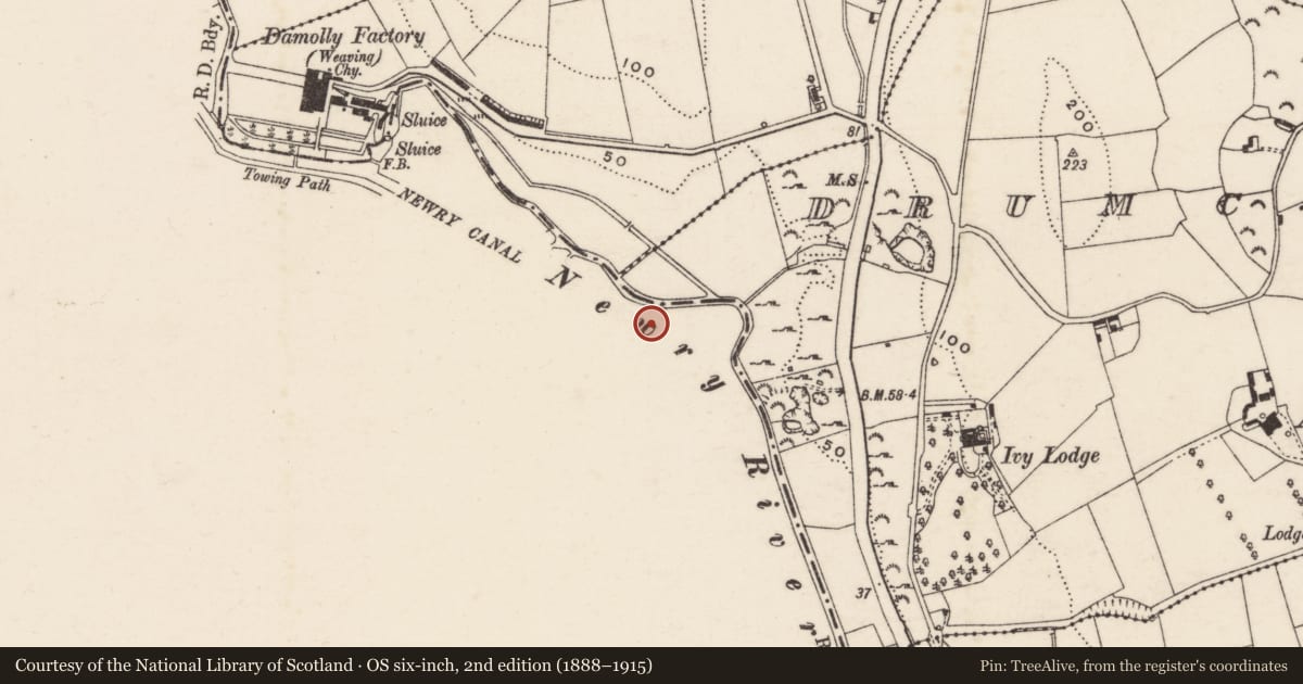 Ordnance Survey six-inch map, 2nd edition (1888–1915) covering the location of Lock no.3, Lisdrumgullion, Newry, Mourne and Down, with a pin at the register's coordinates