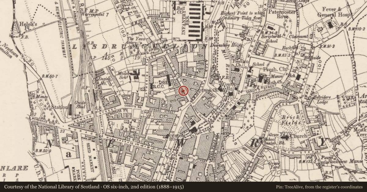 Ordnance Survey six-inch map, 2nd edition (1888–1915) covering the location of 12 Canal Street, Lisdrumgullion, Newry, Mourne and Down, with a pin at the register's coordinates
