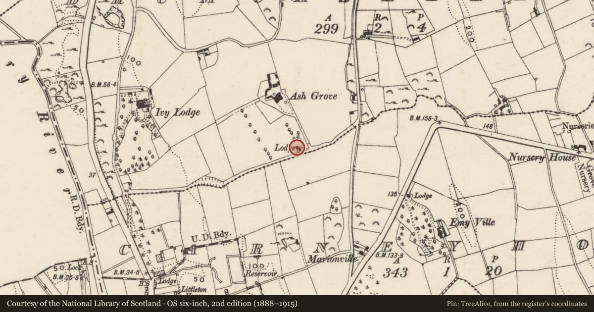 Ordnance Survey six-inch map, 2nd edition (1888–1915) covering the location of Ash Grove Lodge, Drumcashellone, Newry, Mourne and Down, with a pin at the register's coordinates
