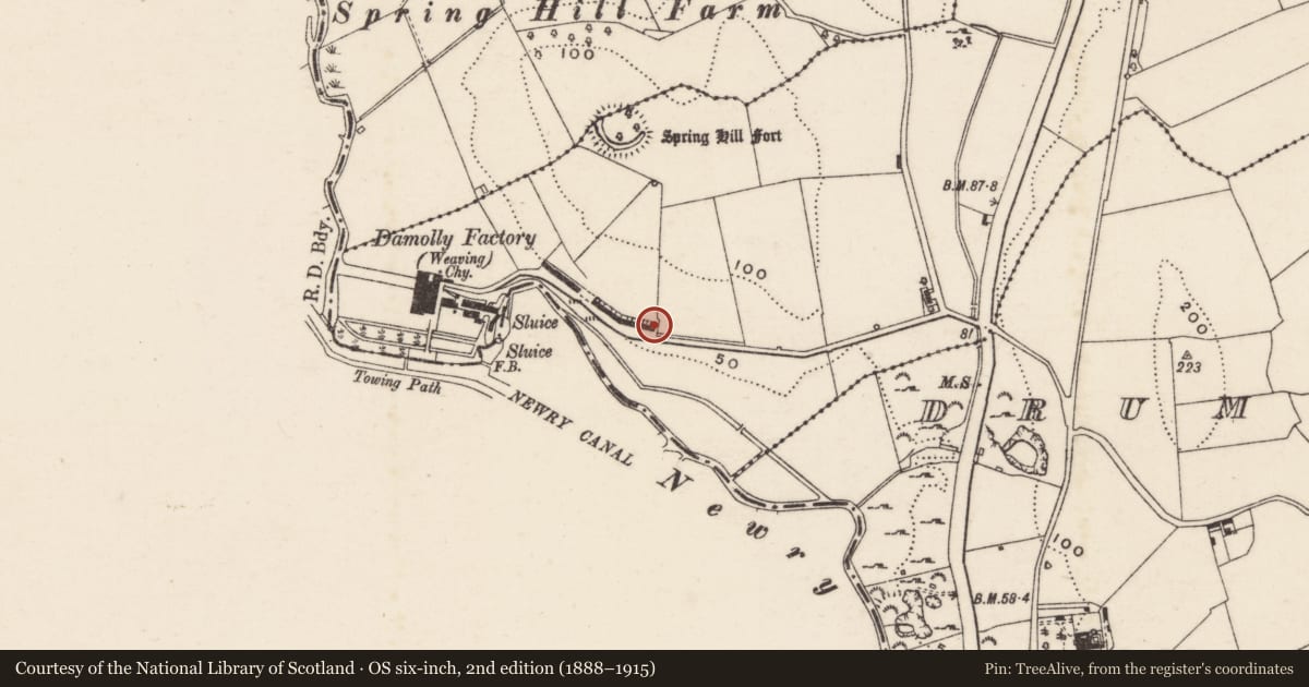 Ordnance Survey six-inch map, 2nd edition (1888–1915) covering the location of 1-36 Damolly Row, Newry, Mourne and Down, with a pin at the register's coordinates