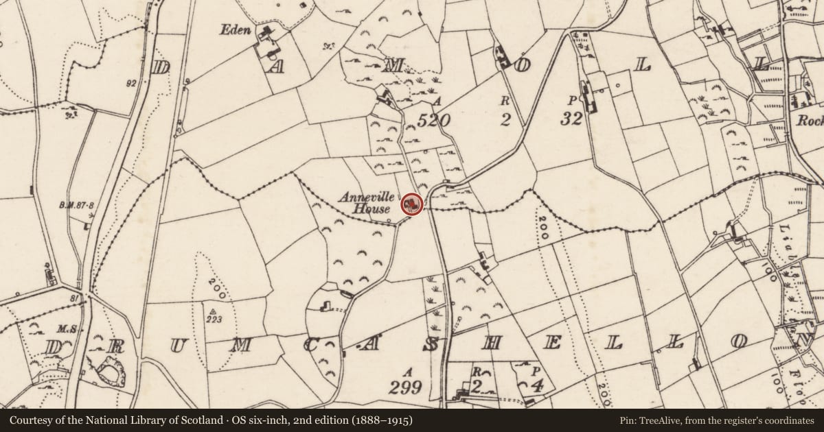 Ordnance Survey six-inch map, 2nd edition (1888–1915) covering the location of Annvale House, Damolly, Newry, Mourne and Down, with a pin at the register's coordinates