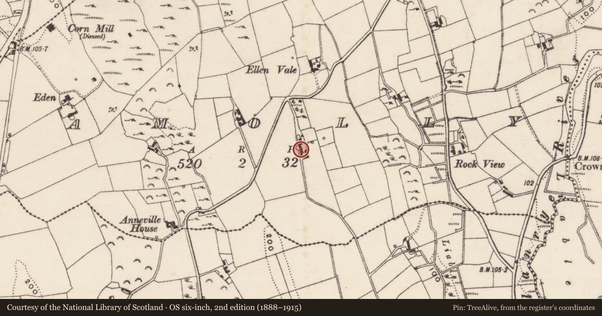 Ordnance Survey six-inch map, 2nd edition (1888–1915) covering the location of Rose Cottage, Damolly, Newry, Mourne and Down, with a pin at the register's coordinates