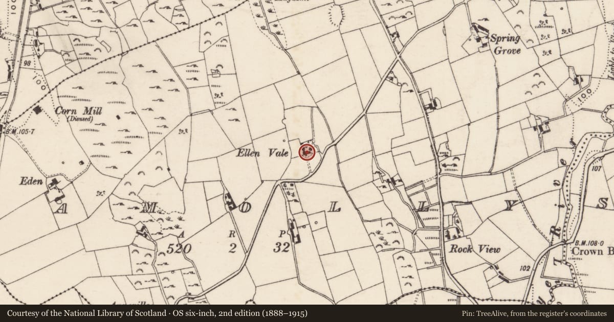 Ordnance Survey six-inch map, 2nd edition (1888–1915) covering the location of Ellen Vale, Damolly, Newry, Mourne and Down, with a pin at the register's coordinates
