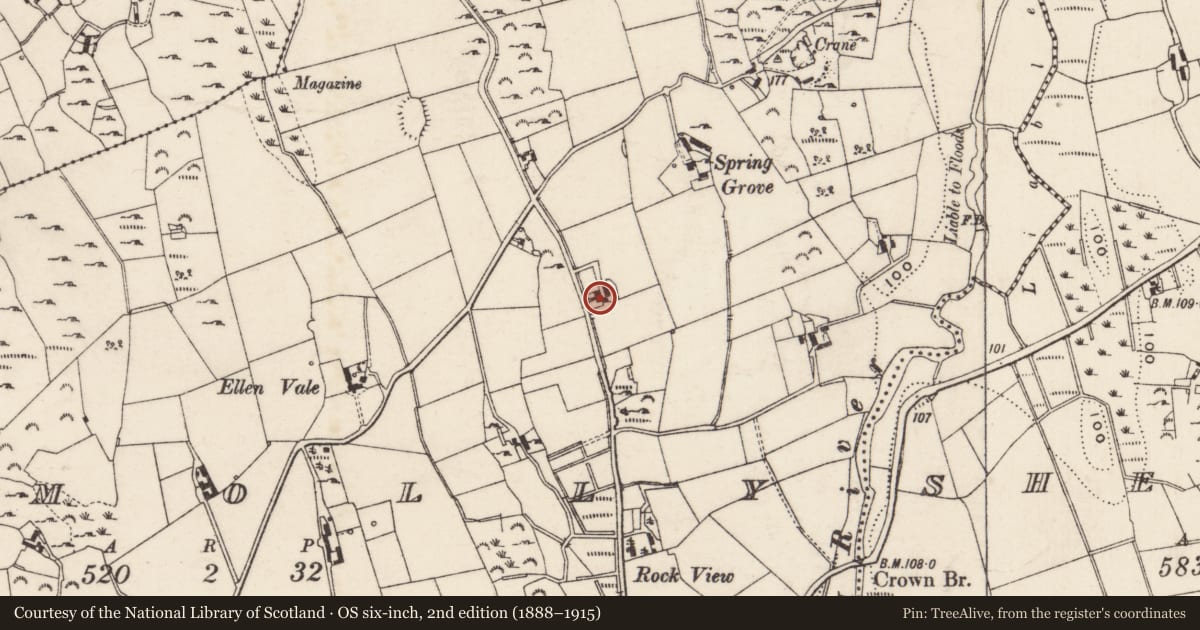 Ordnance Survey six-inch map, 2nd edition (1888–1915) covering the location of House 160m south of jumction with Upper Damolly Road, Newry, Mourne and Down, with a pin at the register's coordinates