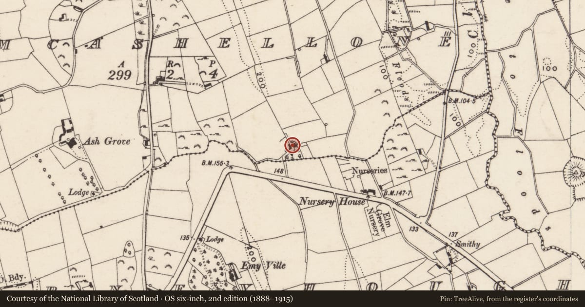 Ordnance Survey six-inch map, 2nd edition (1888–1915) covering the location of Farm Hill, Drumcashellone, Newry, Mourne and Down, with a pin at the register's coordinates