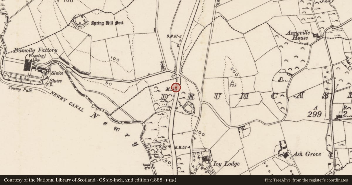 Ordnance Survey six-inch map, 2nd edition (1888–1915) covering the location of Milestone, Drumcashellone, Newry, Mourne and Down, with a pin at the register's coordinates