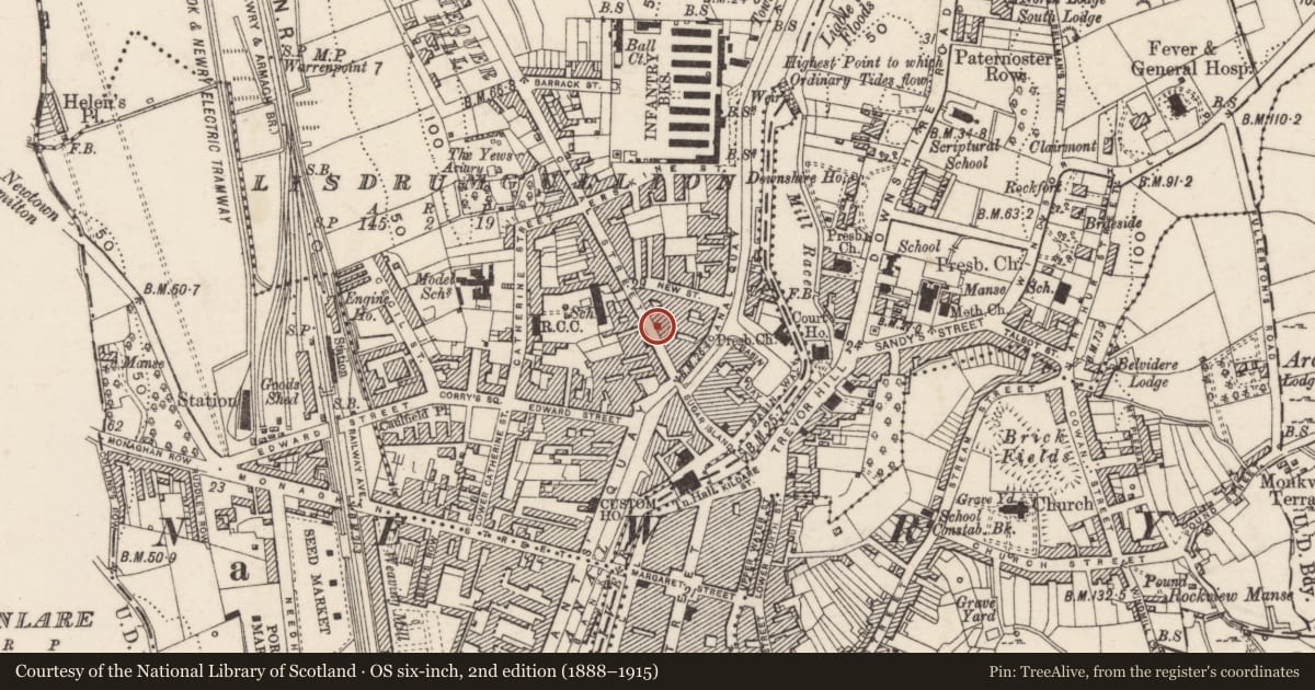 Ordnance Survey six-inch map, 2nd edition (1888–1915) covering the location of 17 Canal Street, Lisdrumgullion, Newry, Mourne and Down, with a pin at the register's coordinates