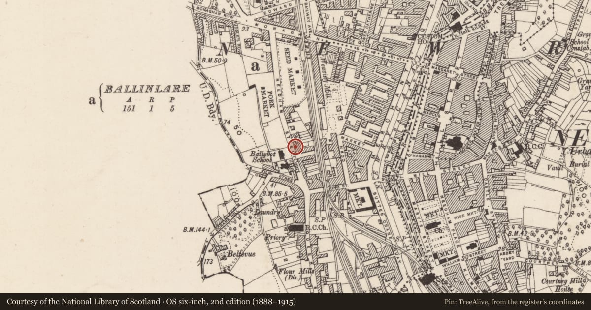 Ordnance Survey six-inch map, 2nd edition (1888–1915) covering the location of 33 Patrick St, Ballinlare, Newry, Mourne and Down, with a pin at the register's coordinates