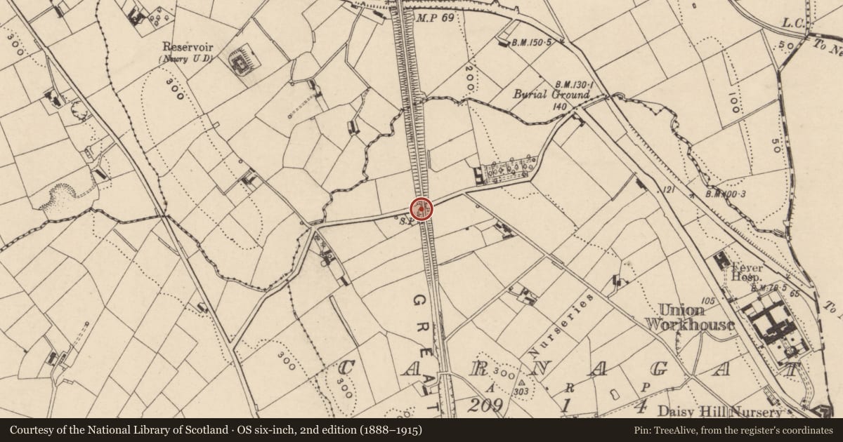 Ordnance Survey six-inch map, 2nd edition (1888–1915) covering the location of Railway Bridge, Ballinlare, Newry, Mourne and Down, with a pin at the register's coordinates