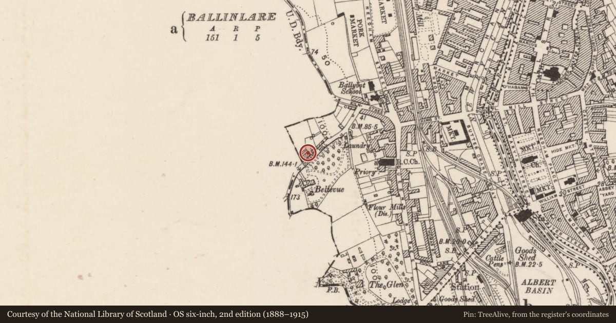 Ordnance Survey six-inch map, 2nd edition (1888–1915) covering the location of Hillside Terrace, Ballinlare, Newry, Mourne and Down, with a pin at the register's coordinates