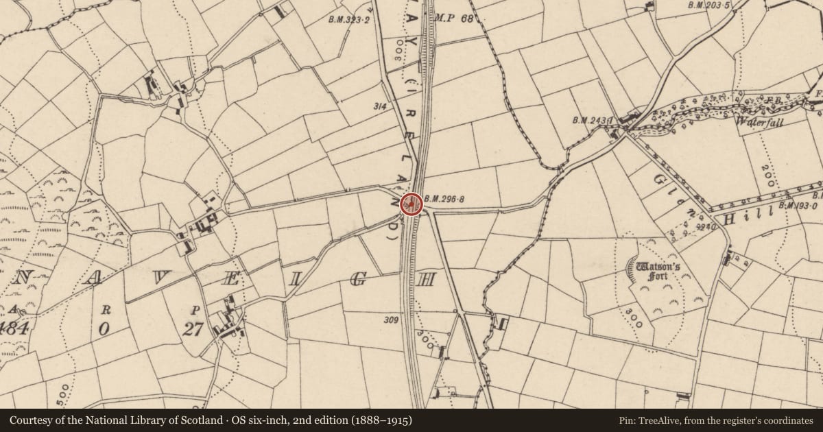 Ordnance Survey six-inch map, 2nd edition (1888–1915) covering the location of Railway Bridge, Ballinlare, Newry, Mourne and Down, with a pin at the register's coordinates