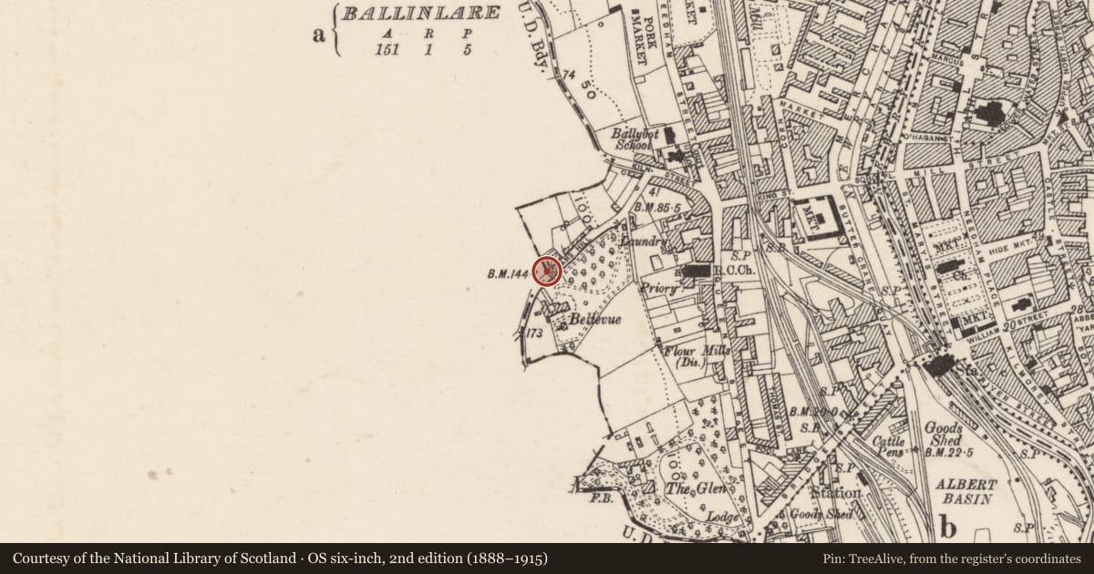 Ordnance Survey six-inch map, 2nd edition (1888–1915) covering the location of Boundary Post near 1 Hillside Terrace Doran’s Hill Newry Co Down BT35 8EL, Ballinlare, Newry, Mourne and Down, with a pin at the register's coordinates