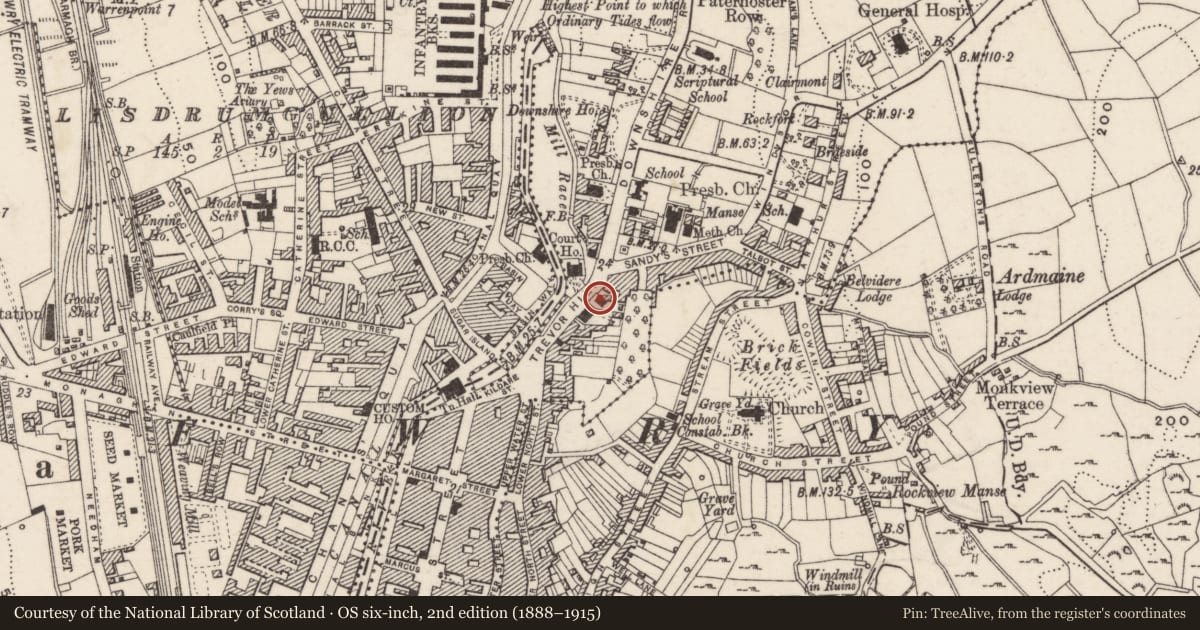 Ordnance Survey six-inch map, 2nd edition (1888–1915) covering the location of Salvation Army Citadel, Carneyhough, Newry, Mourne and Down, with a pin at the register's coordinates
