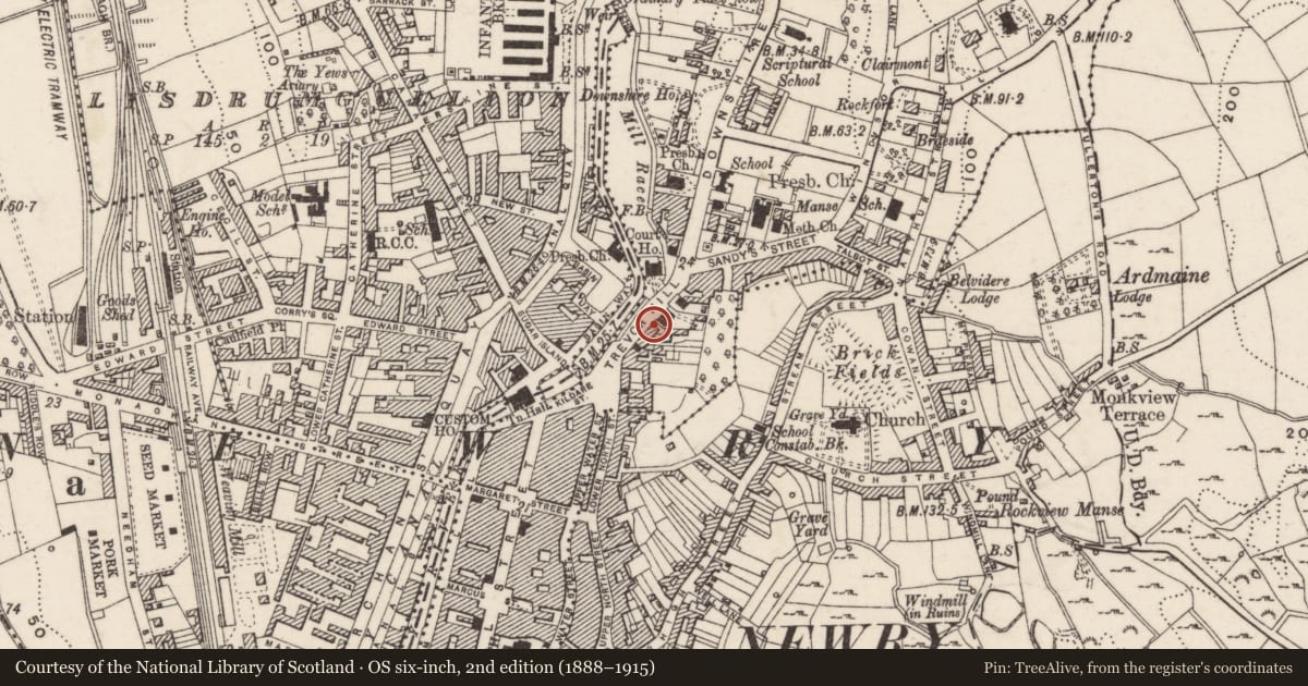 Ordnance Survey six-inch map, 2nd edition (1888–1915) covering the location of 11 Trevor Hill, Carneyhough, Newry, Mourne and Down, with a pin at the register's coordinates
