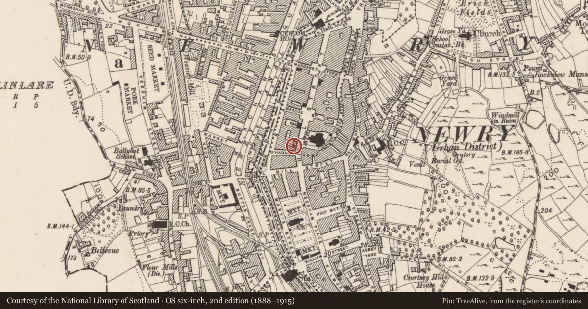Ordnance Survey six-inch map, 2nd edition (1888–1915) covering the location of 34 Hill Street, Carneyhough, Newry, Mourne and Down, with a pin at the register's coordinates