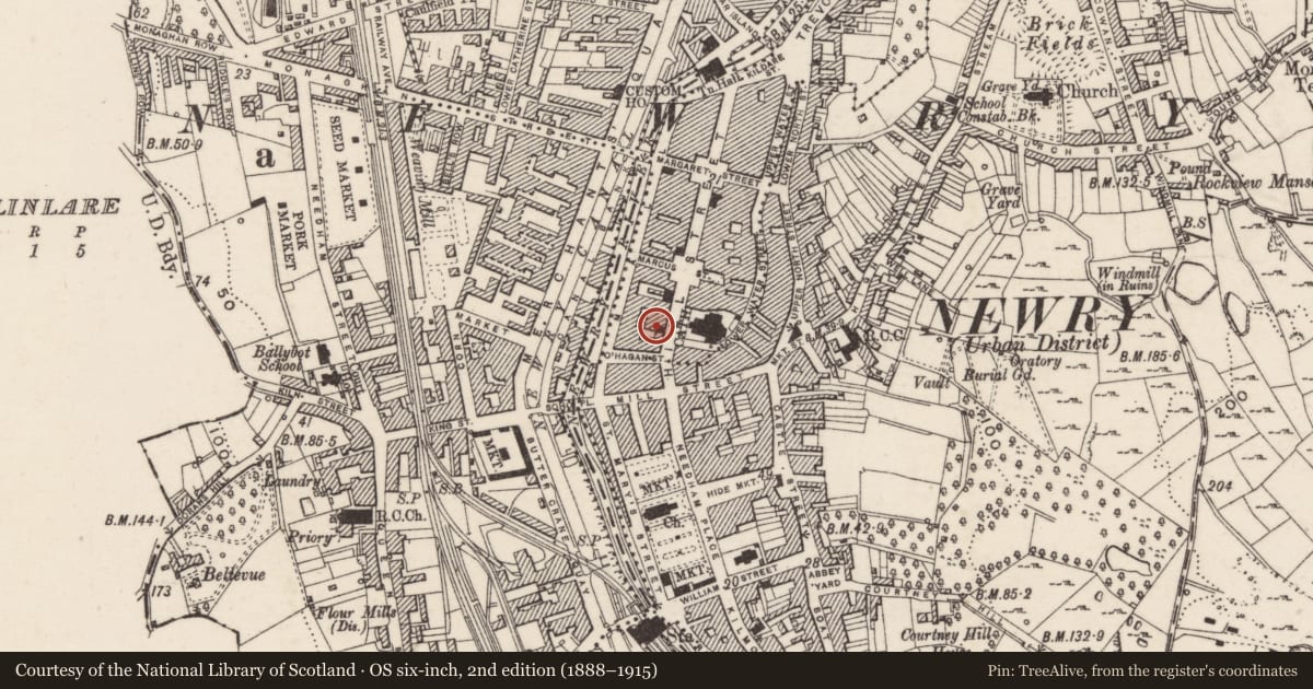 Ordnance Survey six-inch map, 2nd edition (1888–1915) covering the location of 38 Hill Street, Carneyhough, Newry, Mourne and Down, with a pin at the register's coordinates