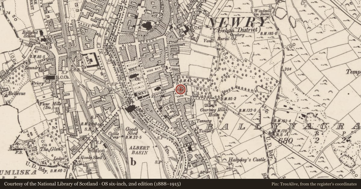 Ordnance Survey six-inch map, 2nd edition (1888–1915) covering the location of 7 Abbey Yard, Ballynacraig, Newry, Mourne and Down, with a pin at the register's coordinates